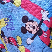 Mickey mouse soft quilt single bed