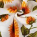 Sunflower loneta fabric